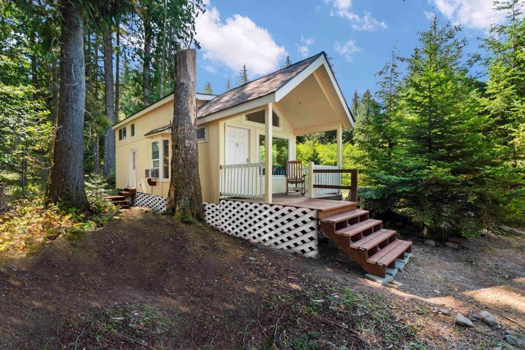 New Tiny Home Steps Away From Mt. Rainier Ashford Kültér fotó
