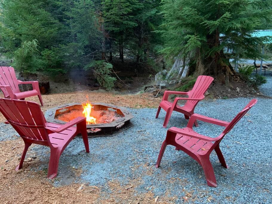 New Tiny Home Steps Away From Mt. Rainier Ashford Kültér fotó