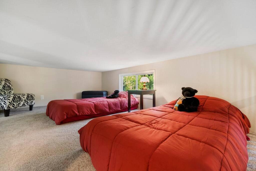 New Tiny Home Steps Away From Mt. Rainier Ashford Kültér fotó